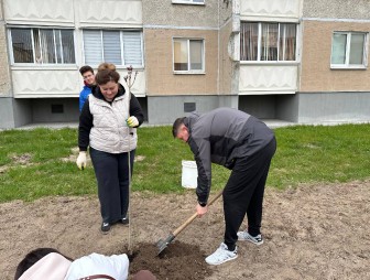 Мостовщина активным трудом встретила Праздник труда.