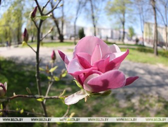 Оранжевый уровень опасности из-за жары объявлен в Беларуси 6 мая