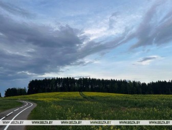 Где воздух прогреется до +25°С, а где 12 мая выпадет град, рассказали синоптики