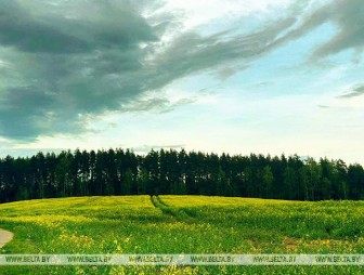 Грозовой фронт против жары: что подготовила белорусам погода 21 мая