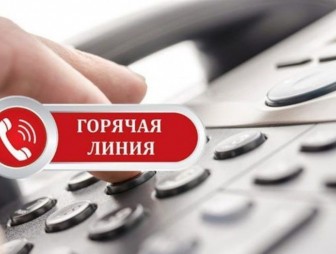 С июня по август еженедельно по вторникам и четвергам проведут горячую телефонную линию