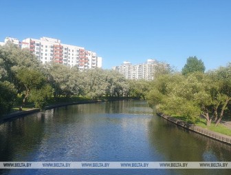 Стоит ли ехать на природу? Погода 20 июня порадует белорусов солнцем и теплом