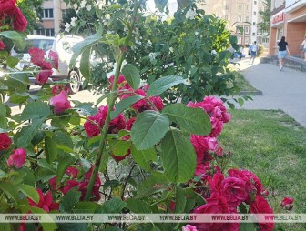 Жара бьет рекорды? Каких температур ждать 25 июня, рассказали синоптики