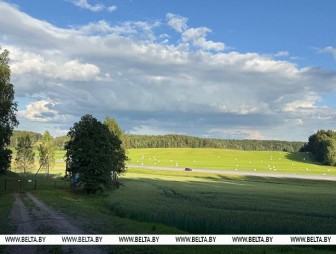 До +39°С. На ближайшие два дня в Беларуси объявлен красный уровень опасности