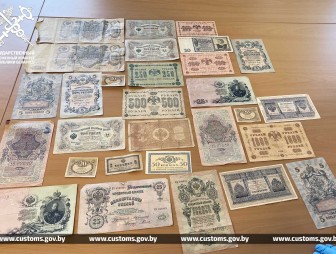 Незаконный вывоз с территории ЕАЭС 28 банкнот, признанных культурными ценностями, не допустили гродненские таможенники