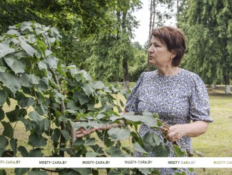 Яе гаспадарка: як лунненская настаўніца ўжо некалькі дзясяткаў гадоў упрыгожвае родны куток