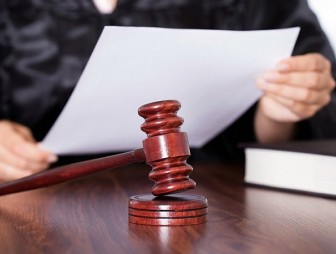 Судом Мостовского района постановлен приговор по уголовному делу по факту хищения пчелиных семей