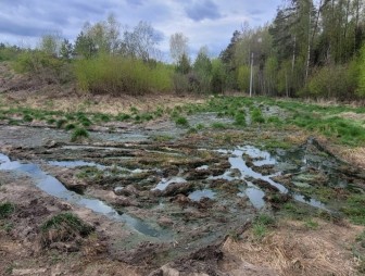 Выявленные Комитетом государственного контроля Гродненской области нарушения при исполнении поручения Главы государства о наведении порядка на земле и соблюдении природоохранного законодательства