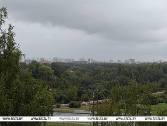 Август снова готовит встряску? Синоптики предупредили о ливнях и ветре 20 августа