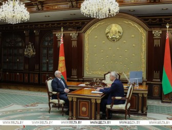 'Работает неплохо'. Александр Лукашенко оценил деятельность белорусского парламента