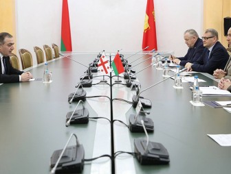 Гродненская область и Грузия обсудили расширение сотрудничества