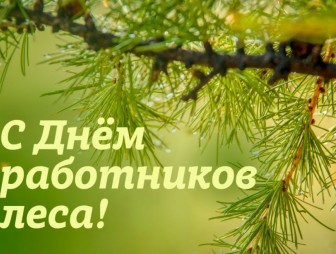 Поздравление с Днём работников леса и лесоперерабатывающей промышленности от мостовских властей