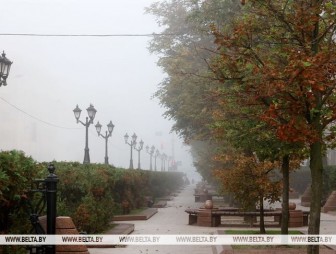 Дожди и туманы в утреннее время. Какую погоду ждать белорусам 19 сентября