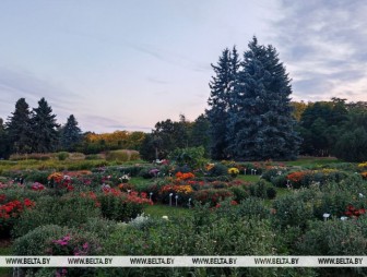 Где в Беларуси будет теплее всего 26 сентября, ответили синоптики