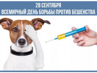 28 сентября – Всемирный день борьбы против бешенства