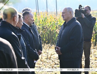 Что делать с 'горами' вокруг Солигорска? Александр Лукашенко ознакомился с экспериментом по повышению плодородия почв