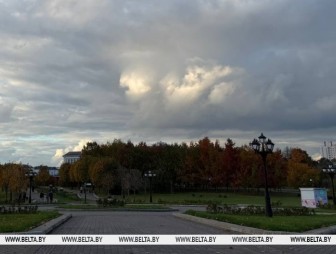 Где пройдут дожди 15 октября, рассказали в Белгидромете