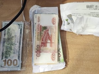 Супруги спрятали незадекларированную валюту в салфетки, пытаясь ввезти ее в Беларусь
