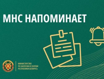 ИМНС информирует, что приближается срок уплаты физическими лицами единого имущественного платежа
