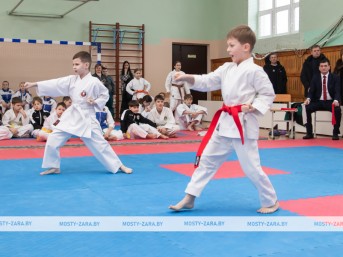 ФОТОФАКТ. В Мостах проходят республиканские соревнования по шотокан каратэ-до 'Масты перамогі'