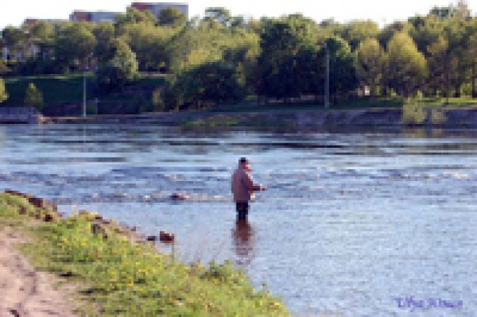 Ловись, рыбка…