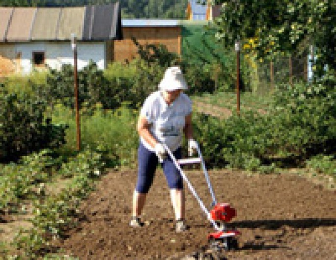 Отремонтируют, вскопают, пришьют…