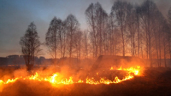 «Ожоги» земли