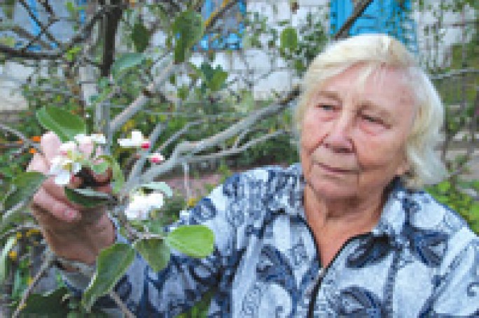 Яблоня в цвету, а осень на дворе