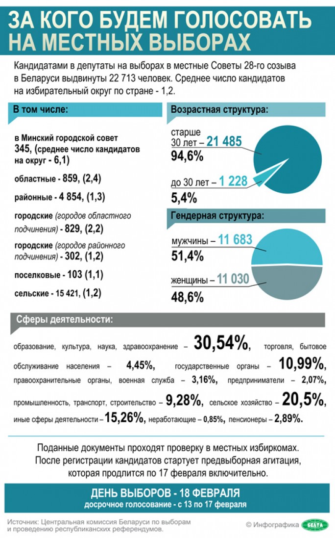 Инфографика: За кого будем голосовать на местных выборах