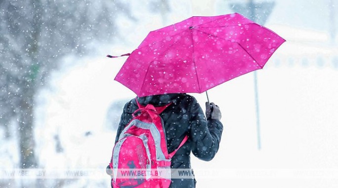 Мокрый снег с дождем ожидается в Беларуси 1 января