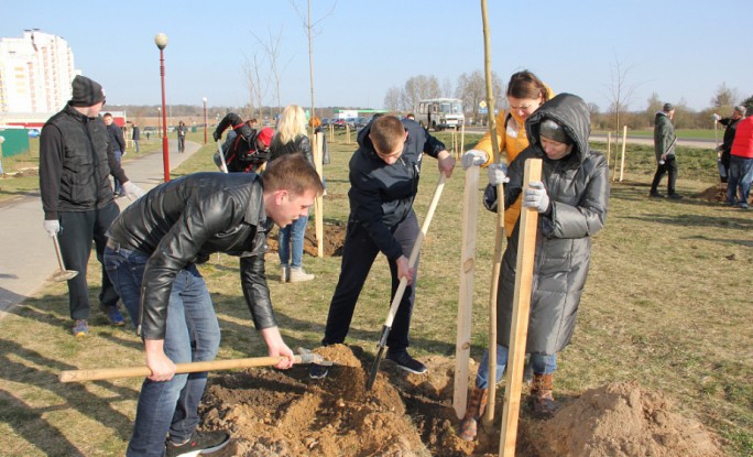Парк семейных деревьев заложат в Гродно