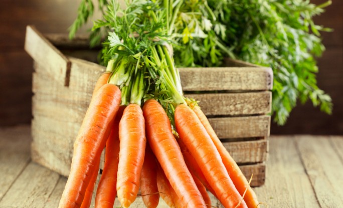 Как спасти морковь от проволочника