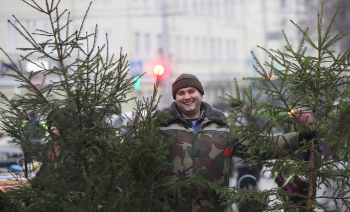 Когда в Гродно и области заработают елочные базары и почем новогодние елки?