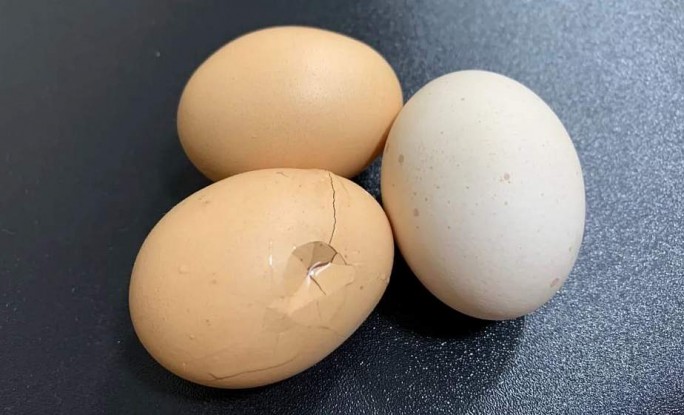 Как сварить треснувшие яйца: три проверенных способа