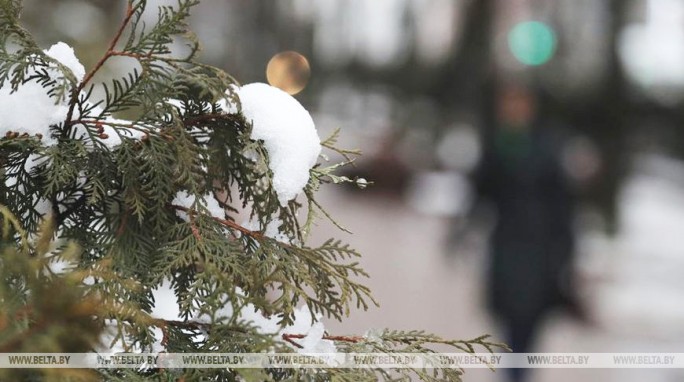 Дождь с мокрым снегом ожидается в Беларуси 26 февраля