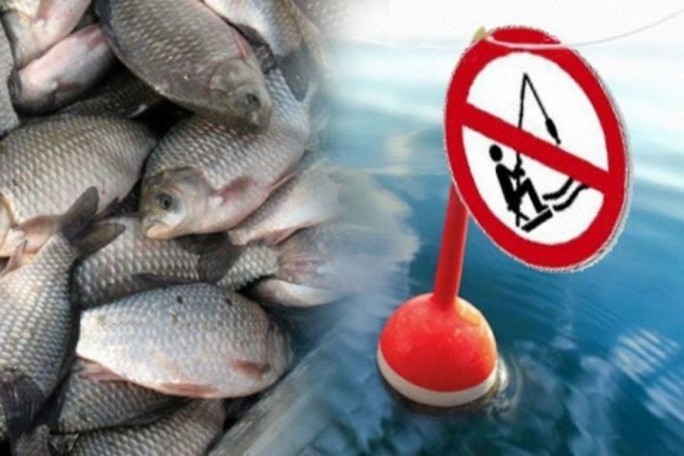 Запрет рыбакам писан