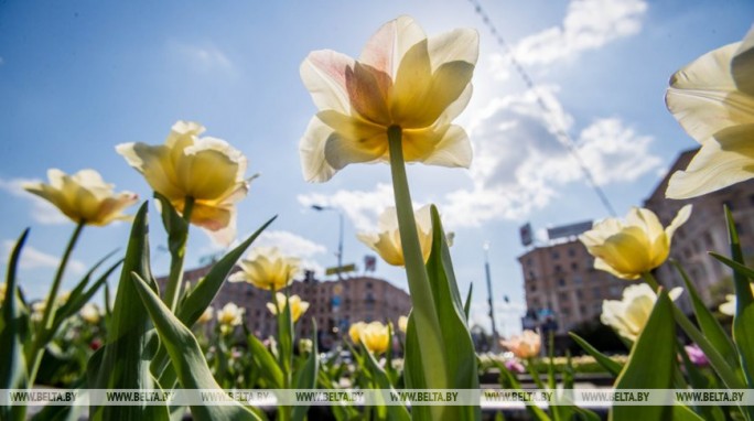 В Беларуси потеплеет во второй половине недели