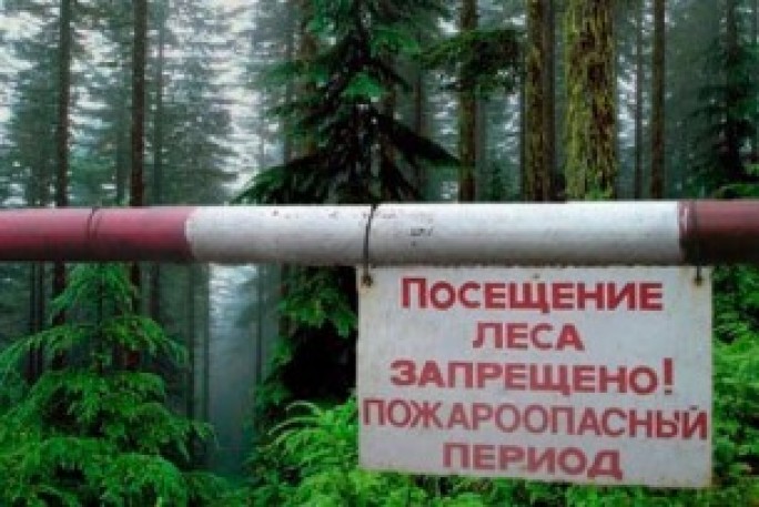 О запрете посещения лесов в Мостовском районе