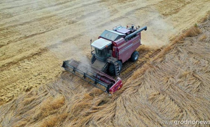 Урожай-2020: собрано более 4 млн тонн зерна