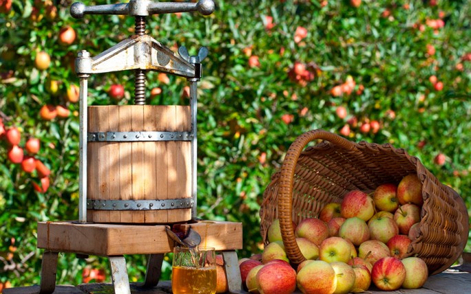 Август — пора заготовок из яблок
