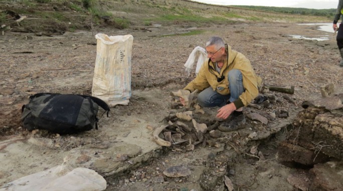 Кладбище мамонтов обнаружили в Тюменской области