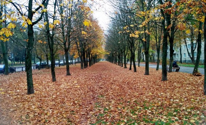 До +6°C, мокрый снег и дожди. Погода на неделю с 9 по 15 ноября. Подробный прогноз