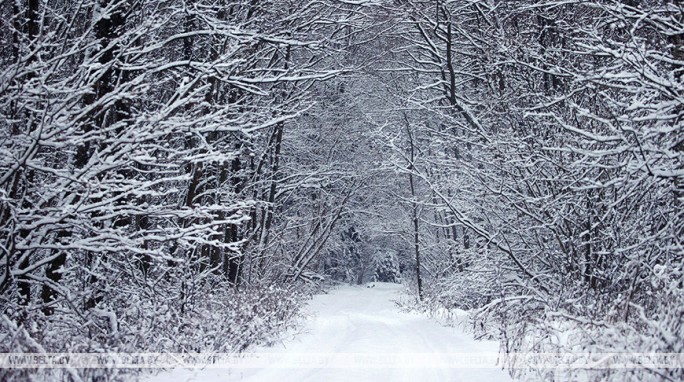 Морозы до -29°С ожидаются в Беларуси 17 января