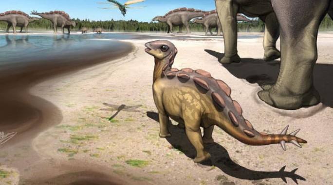 В Китае нашли самый маленький след стегозавра