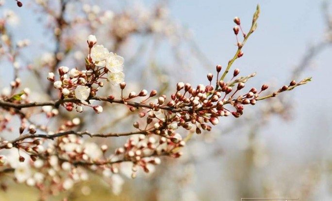 Не май месяц! Когда в Гродно придет тепло?