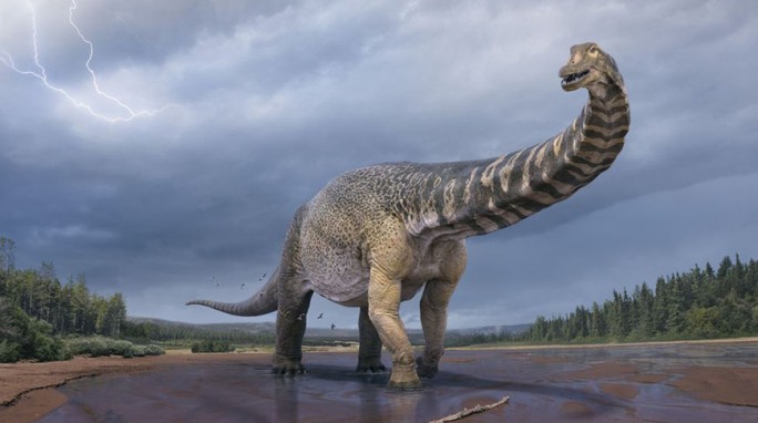 В Австралии обнаружили самый крупный вид динозавров