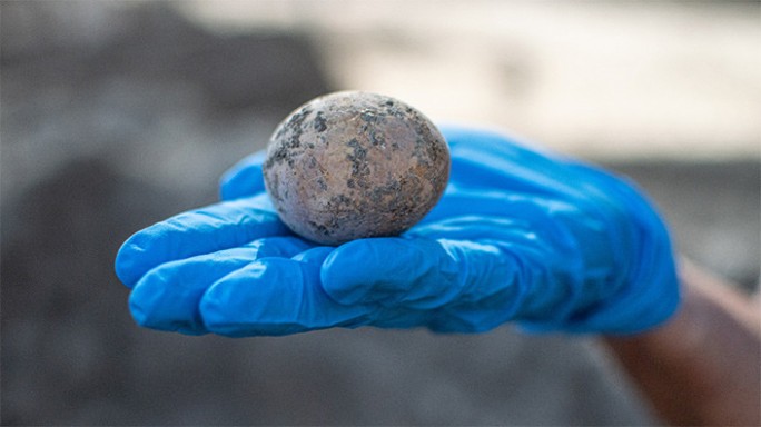 Тысячелетнее яйцо обнаружили израильские археологи