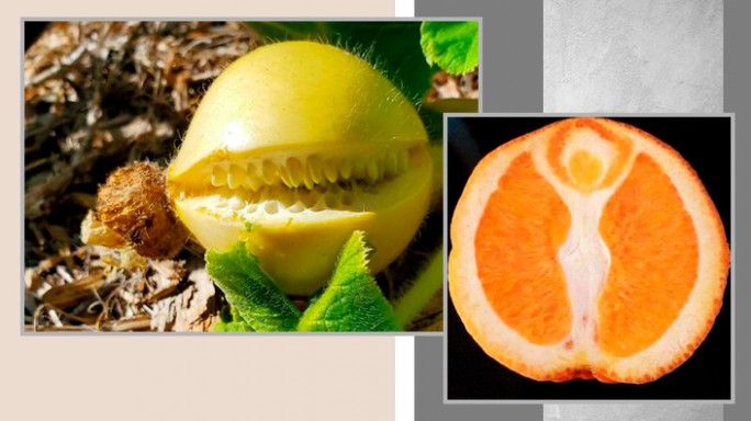 Богиня в апельсине и хищная тыква. Фотоподборка невероятных овощей и фруктов