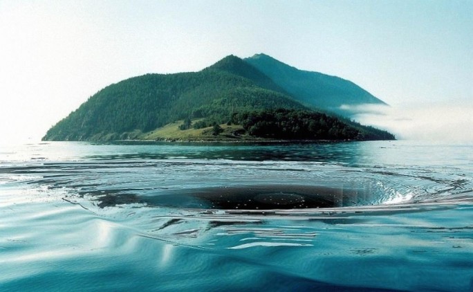 Водные тайны: 10 необычных явлений в океане