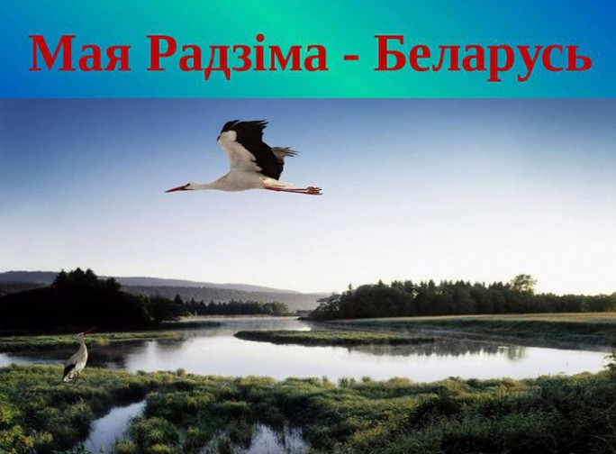 Падведзены вынікі анлайн-віктарыны “Мая Радзіма – Беларусь”, арганізаванага да Дня народнага адзінства рэдакцыяй газеты “Зара над Нёманам”